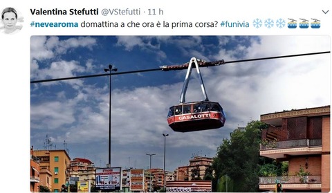 3572493_nevefunivia